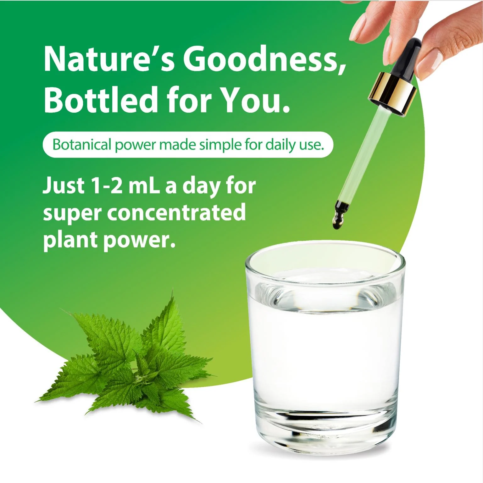 Nettle Leaf Liquid Extract Alcohol Free, 2 fl oz (59 mL) Liquid - Image 4